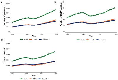 Worldwide burden of liver cancer due to metabolic dysfunction-associated steatohepatitis from 1990 to 2019: insights from the Global Burden of Disease study